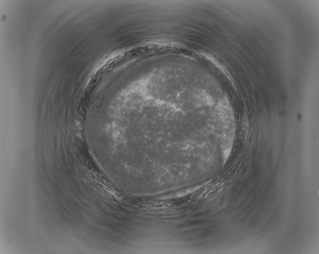 X0000081570823200702051212