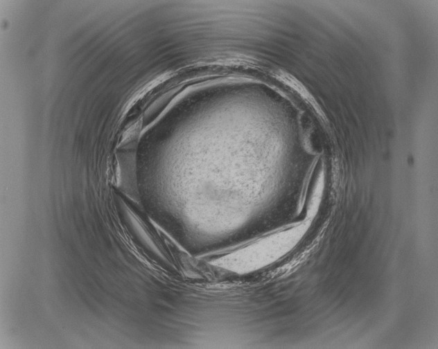 X0000081570826200702051212