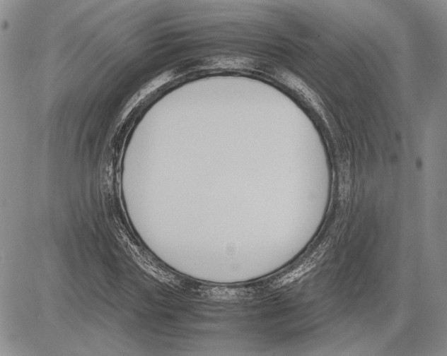 X0000081570827200702051212