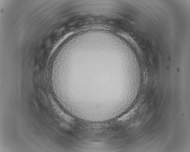 X0000081570828200702051212