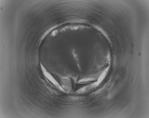 X0000081570829200702051212