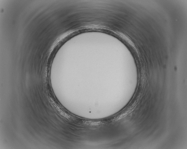 X0000081570831200702051212