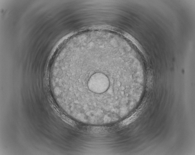 X0000081570832200702051212