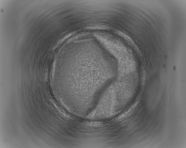 X0000081570833200702051212