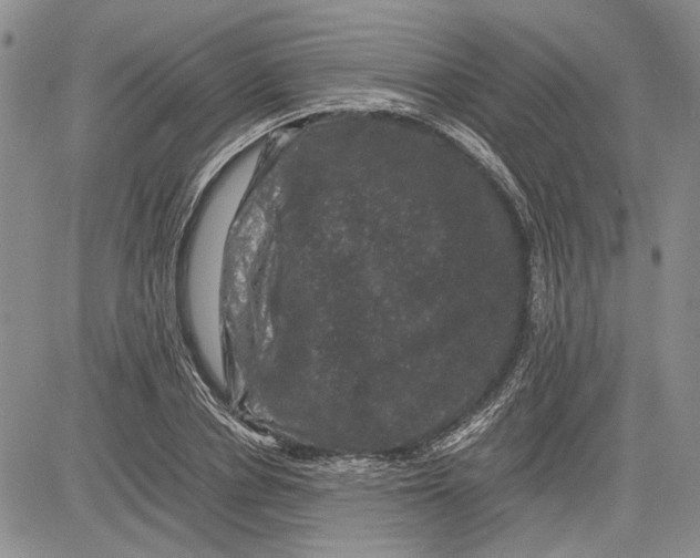 X0000081570834200702051212