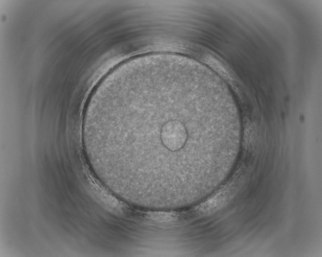 X0000081570836200702051212