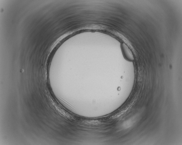 X0000081570837200702051212