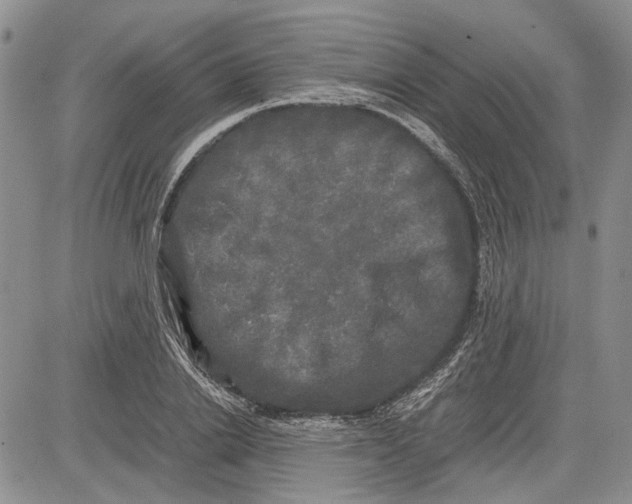 X0000081570838200702051212