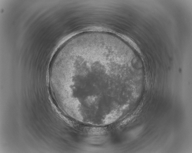 X0000081570839200702051212