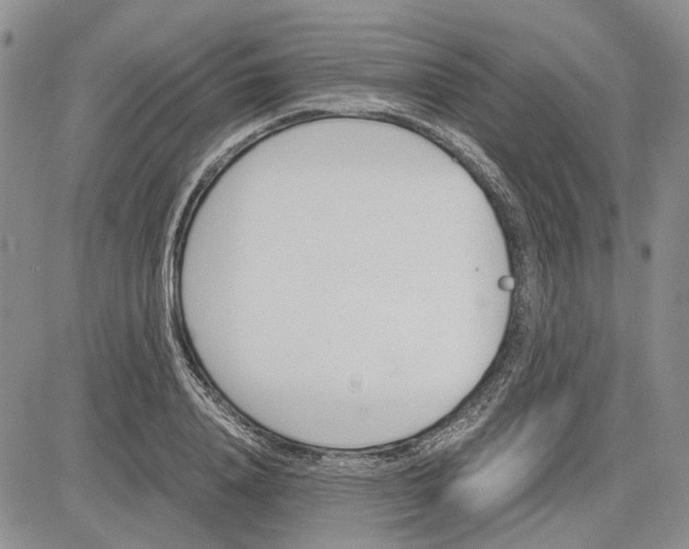 X0000081570840200702051212