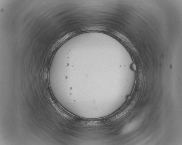 X0000081570841200702051212