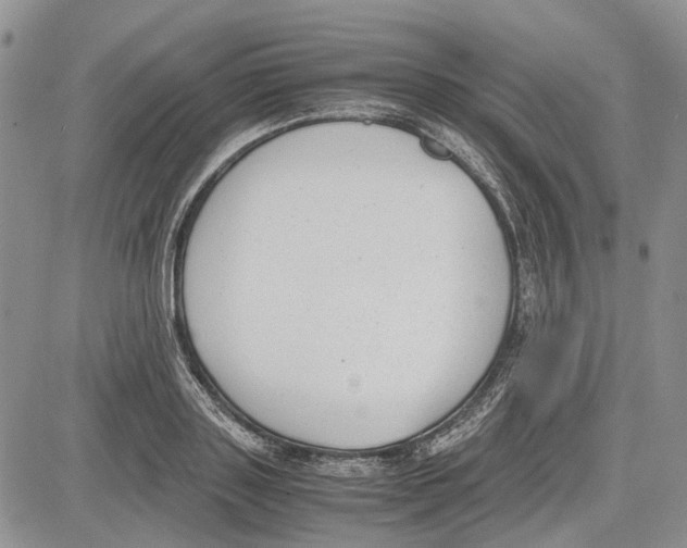 X0000081570843200702051212