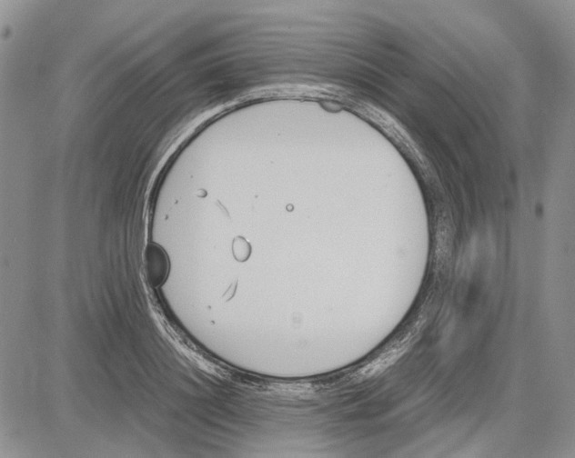 X0000081570844200702051212