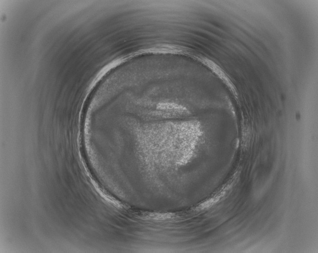 X0000081570845200702051212