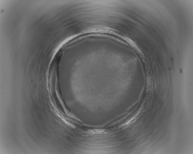 X0000081570846200702051212