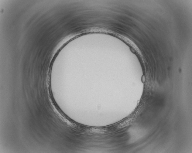 X0000081570847200702051212