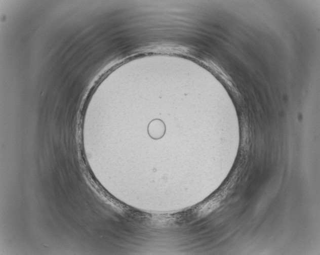 X0000081570848200702051212