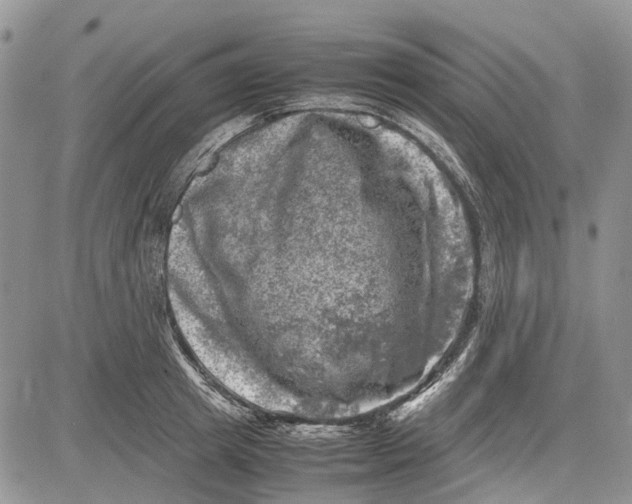 X0000081570849200702051212