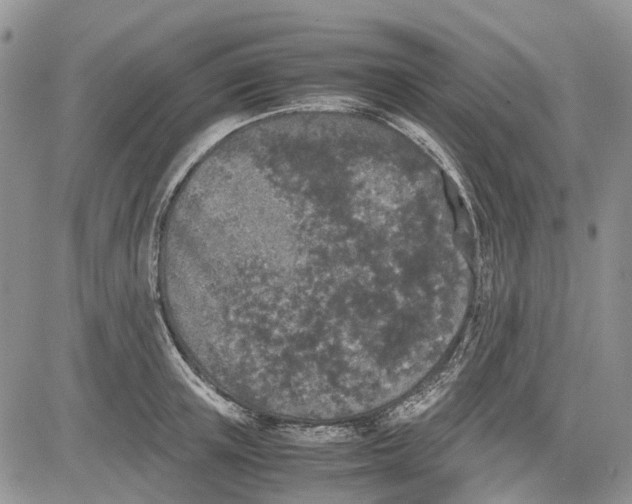 X0000081570851200702051212