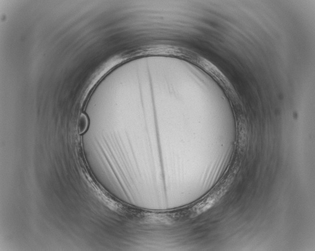 X0000081570852200702051212