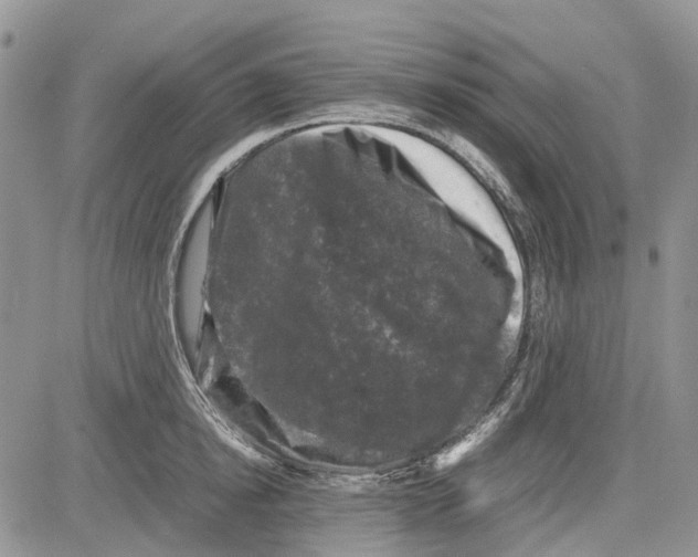 X0000081570854200702051212