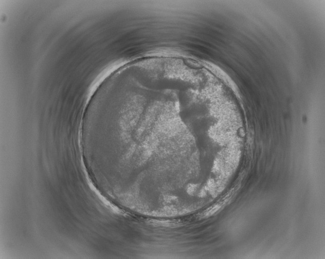 X0000081570855200702051212