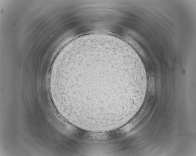 X0000081570856200702051212