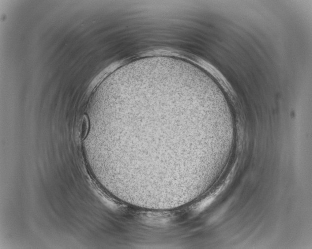 X0000081570857200702051212