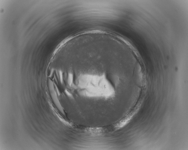 X0000081570858200702051212