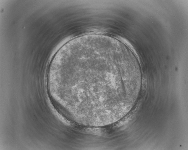 X0000081570859200702051212