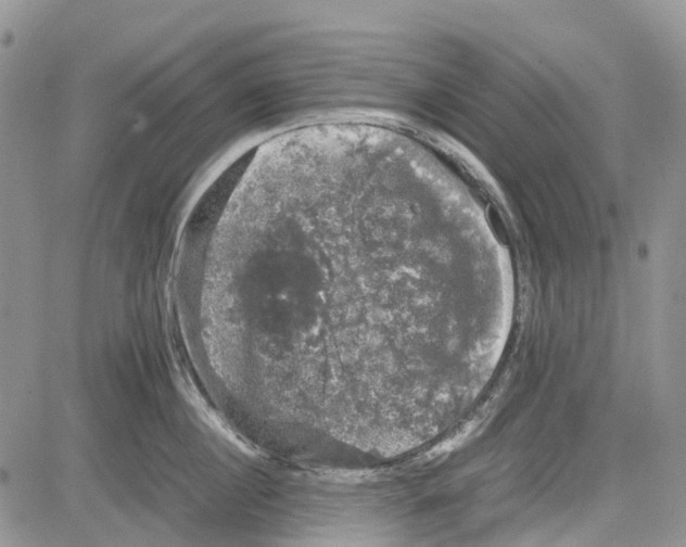 X0000081570860200702051212