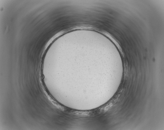 X0000081570861200702051212