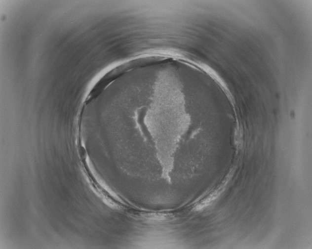 X0000081570862200702051212