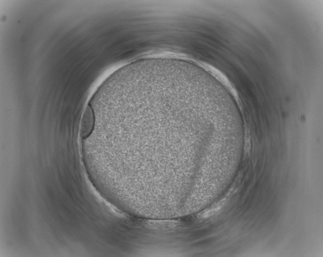 X0000081570863200702051212