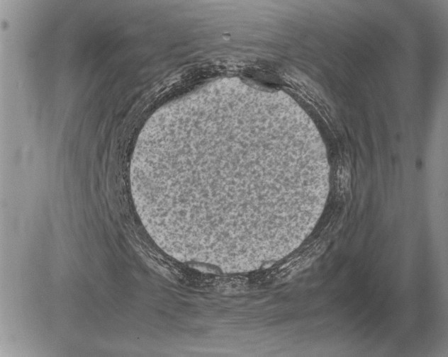 X0000081570865200702051212