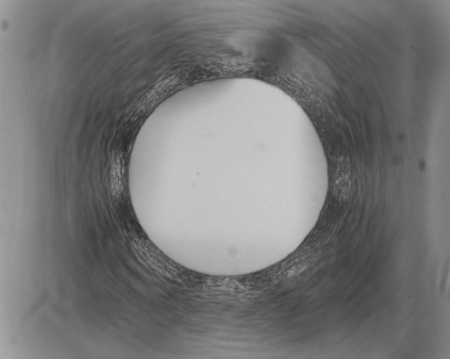 X0000081570866200702051212