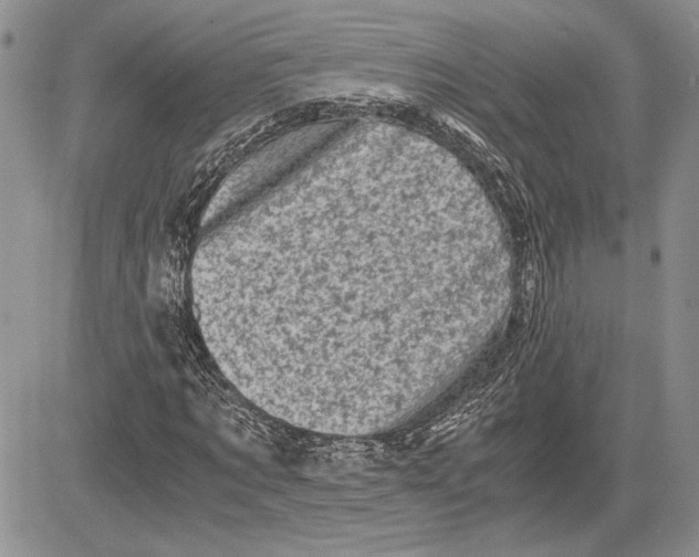 X0000081570869200702051212