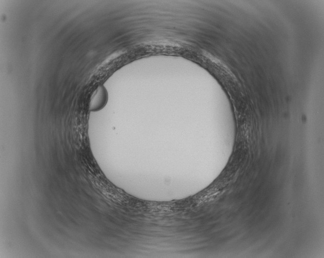 X0000081570870200702051212