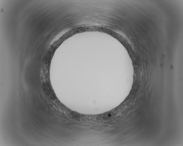 X0000081570871200702051212