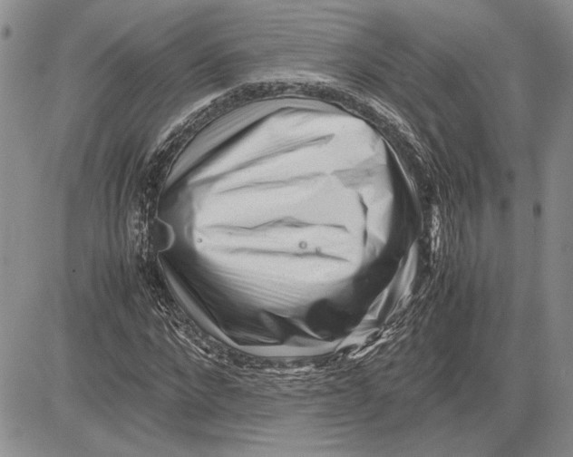 X0000081570872200702051212