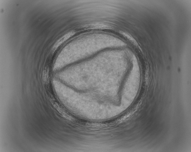 X0000081570873200702051212