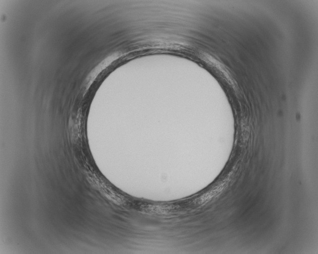 X0000081570875200702051211