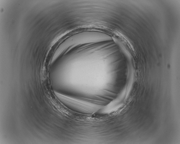 X0000081570876200702051211