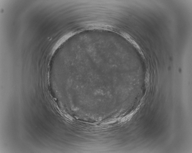 X0000081570877200702051211