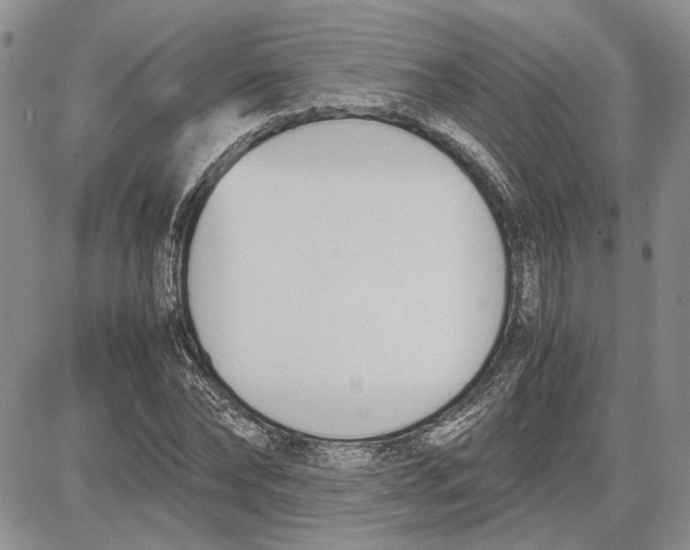 X0000081570878200702051211