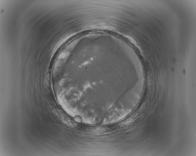 X0000081570879200702051211