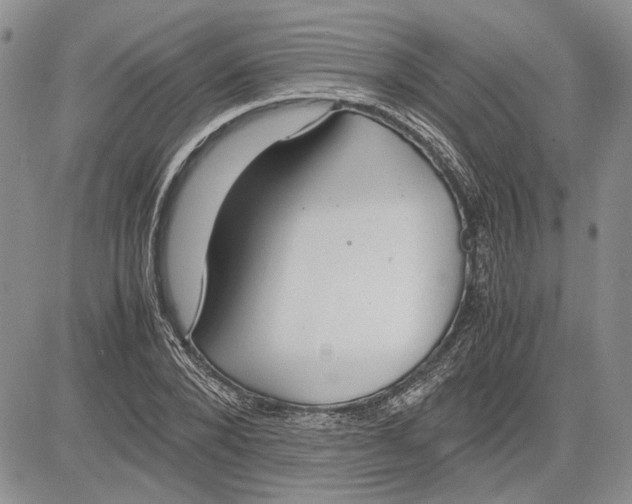 X0000081570880200702051211