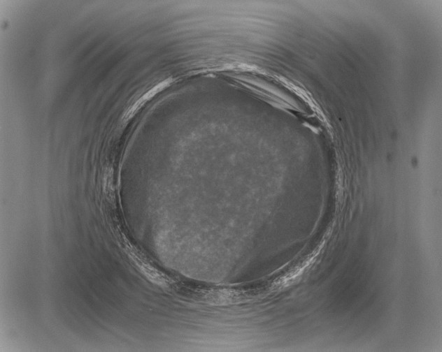 X0000081570881200702051211