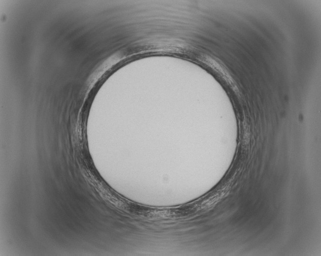 X0000081570883200702051211