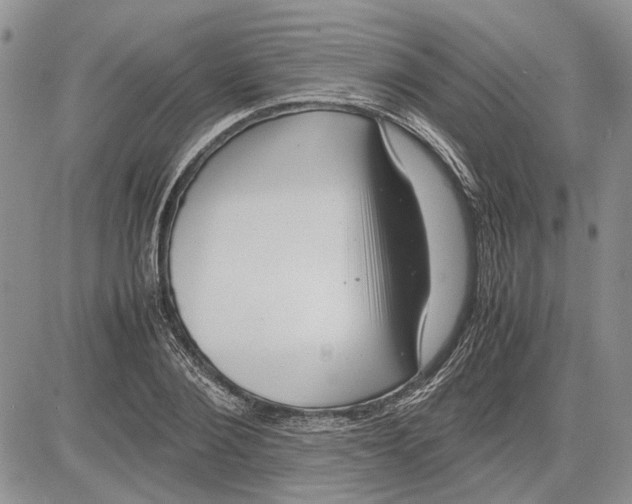 X0000081570884200702051211